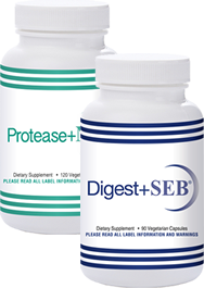 Digest SEB + Protease NK Combo